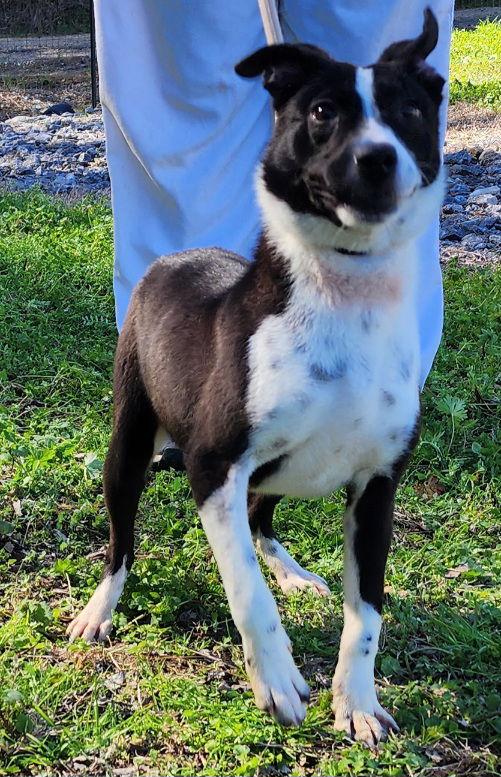 260183 Zelda — thumbnail 3