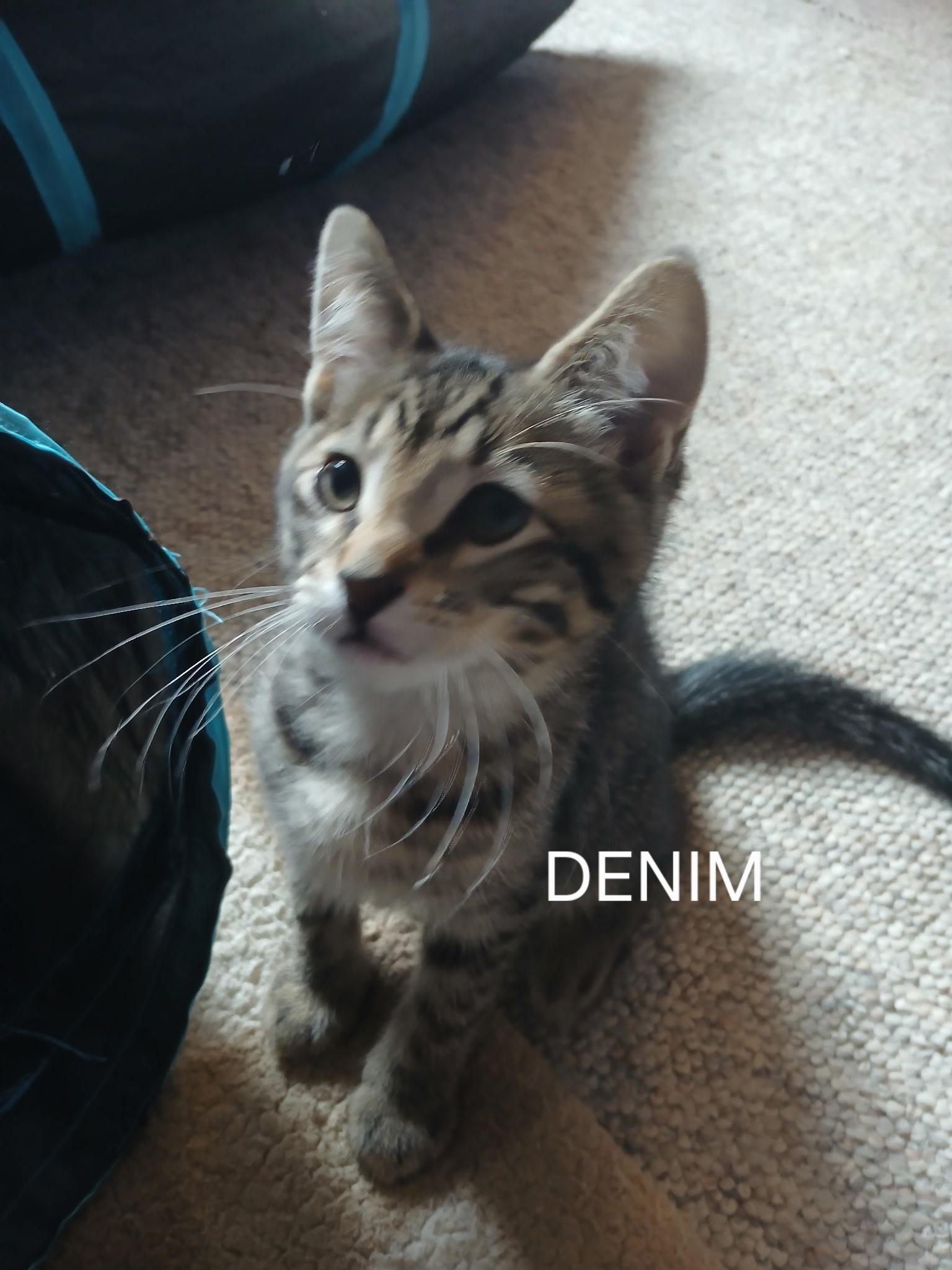 Denim