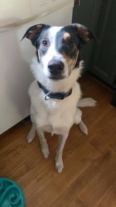 Walter photo 2