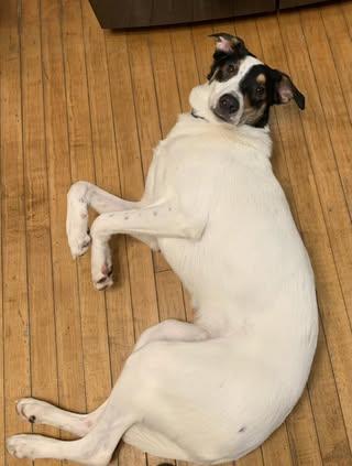 Walter photo 5