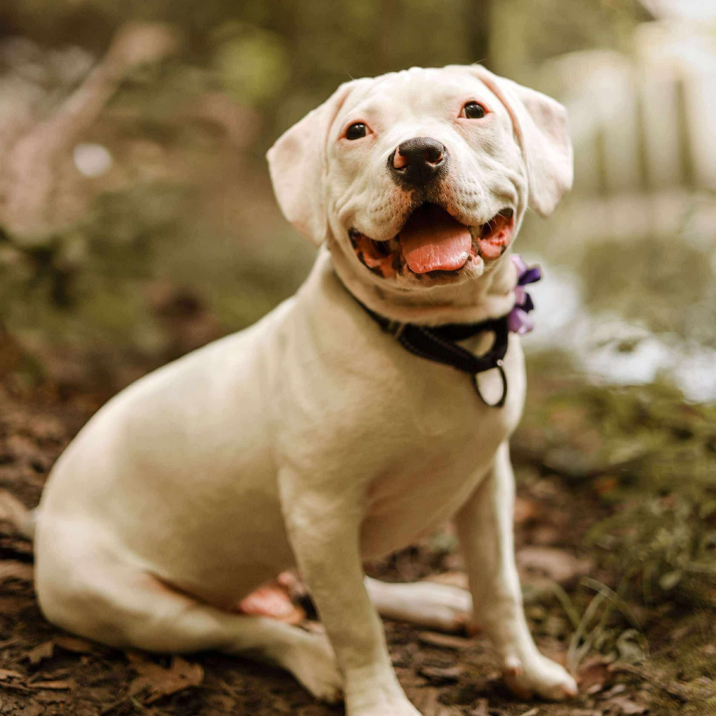 Aurora – the snuggly little boss lady!