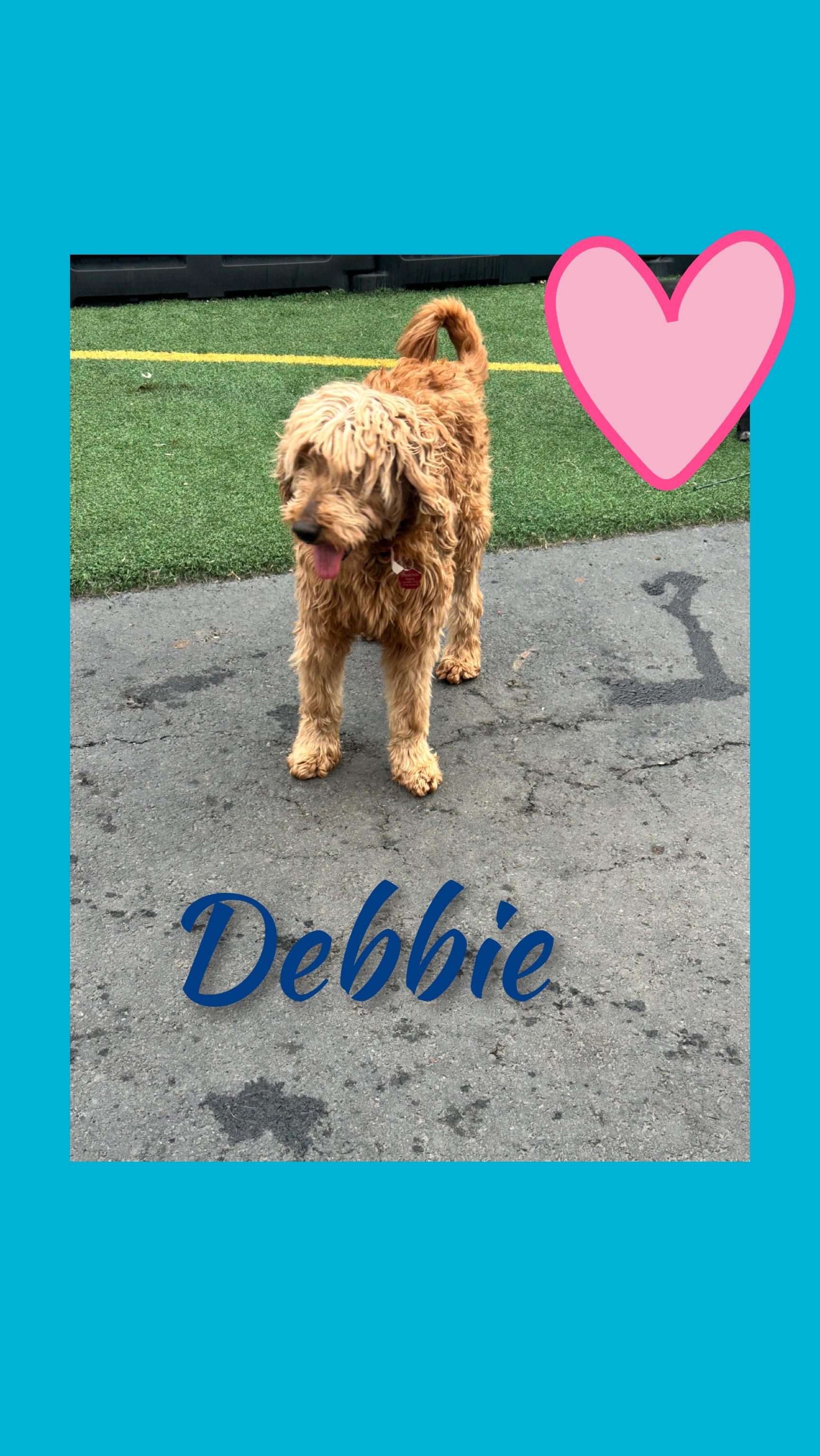 Debbie