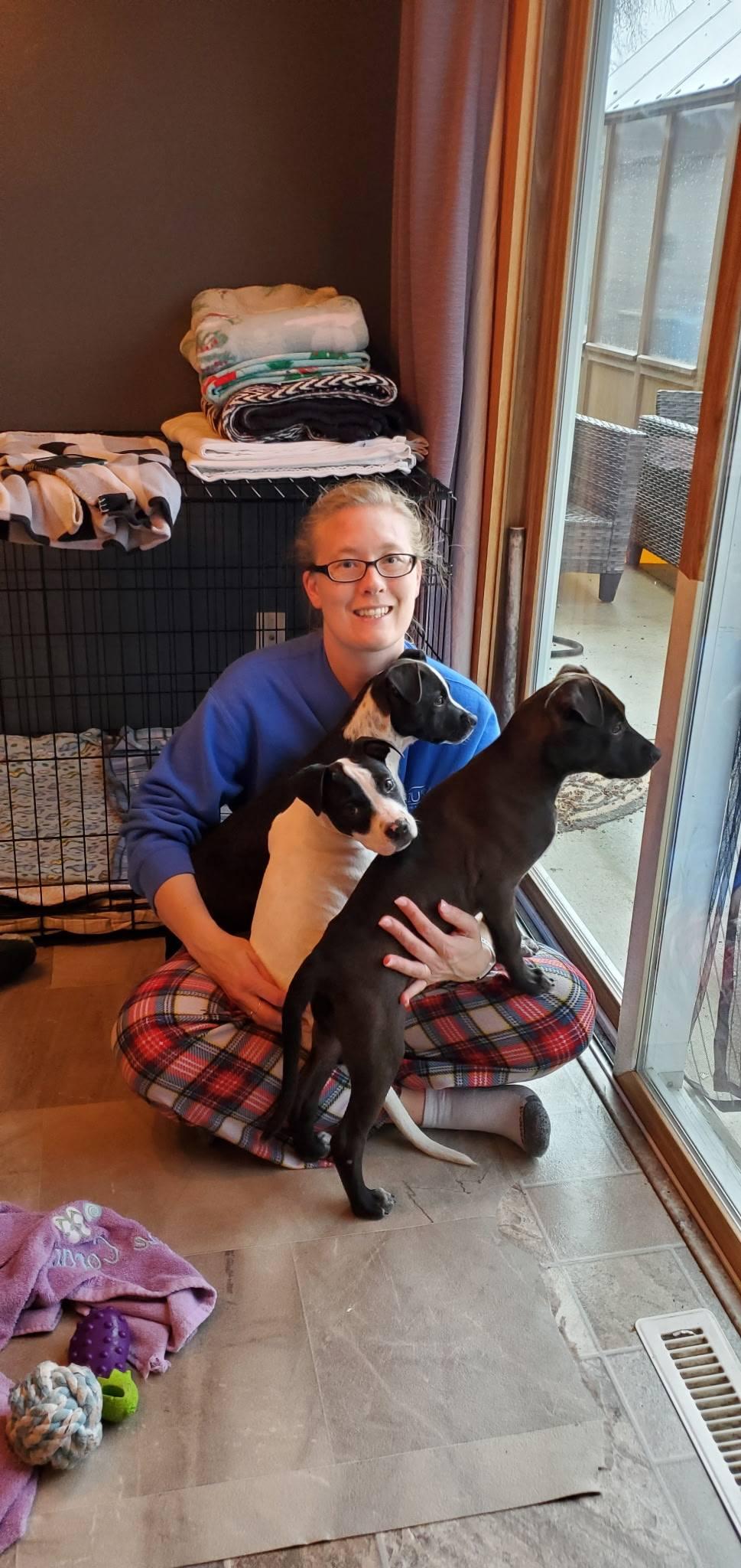 Enlarge Maisy the bully mix puppy, a Adoptable mixed breed in Muskego, WI image 5/5