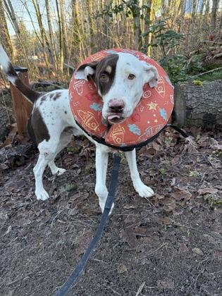 Zion — thumbnail 3