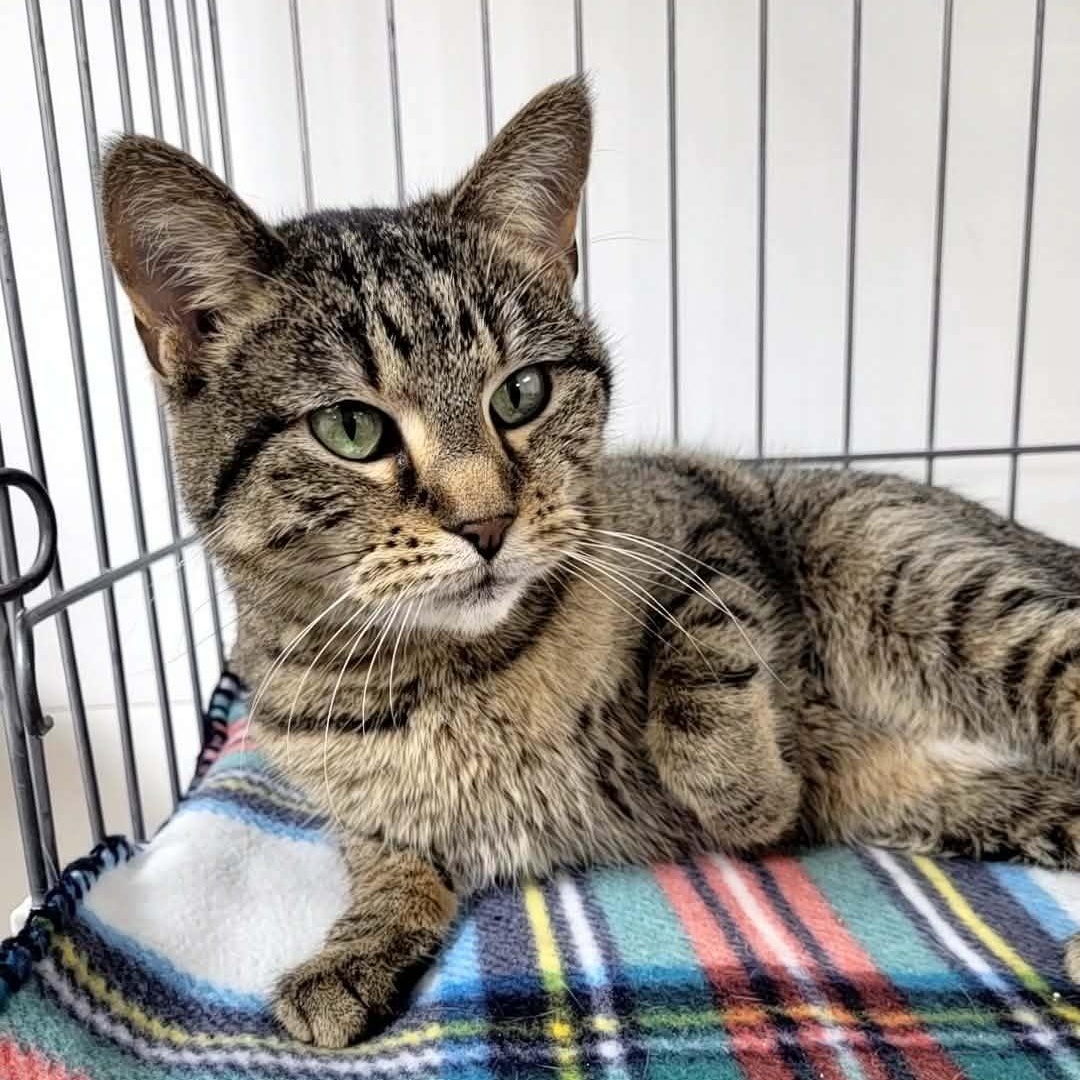 Demi — thumbnail 2