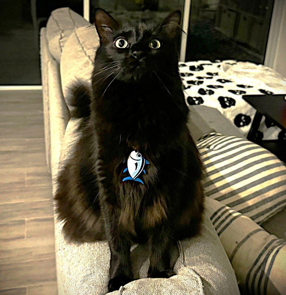 Tayla And Maja thumbnail 2