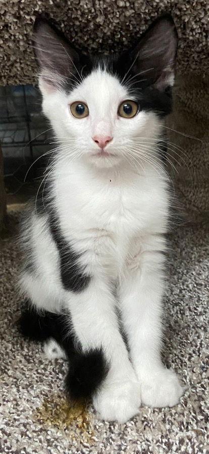 Tayla And Maja thumbnail 3