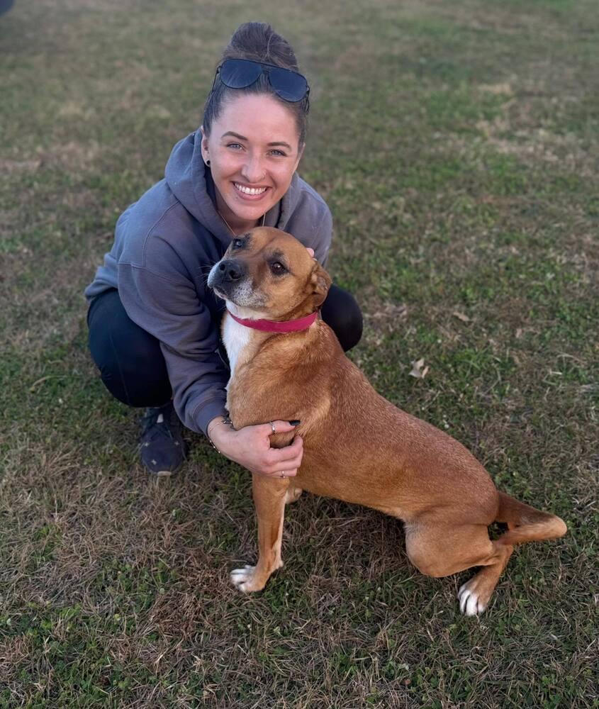 Willow 25D-191, Adoptable, Adult Female Terrier.