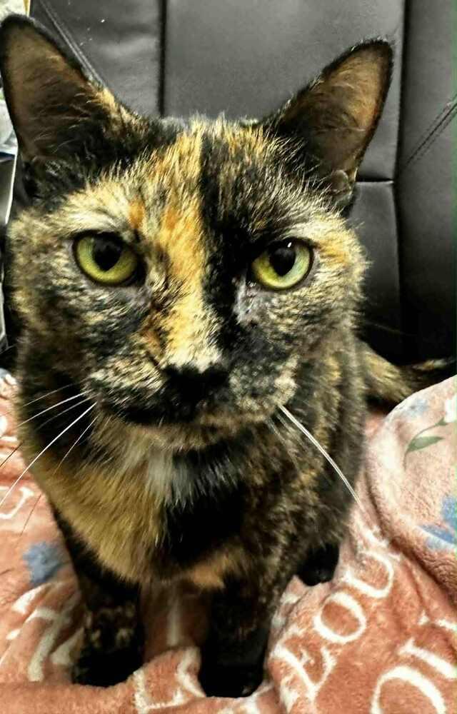 Marge — thumbnail 2