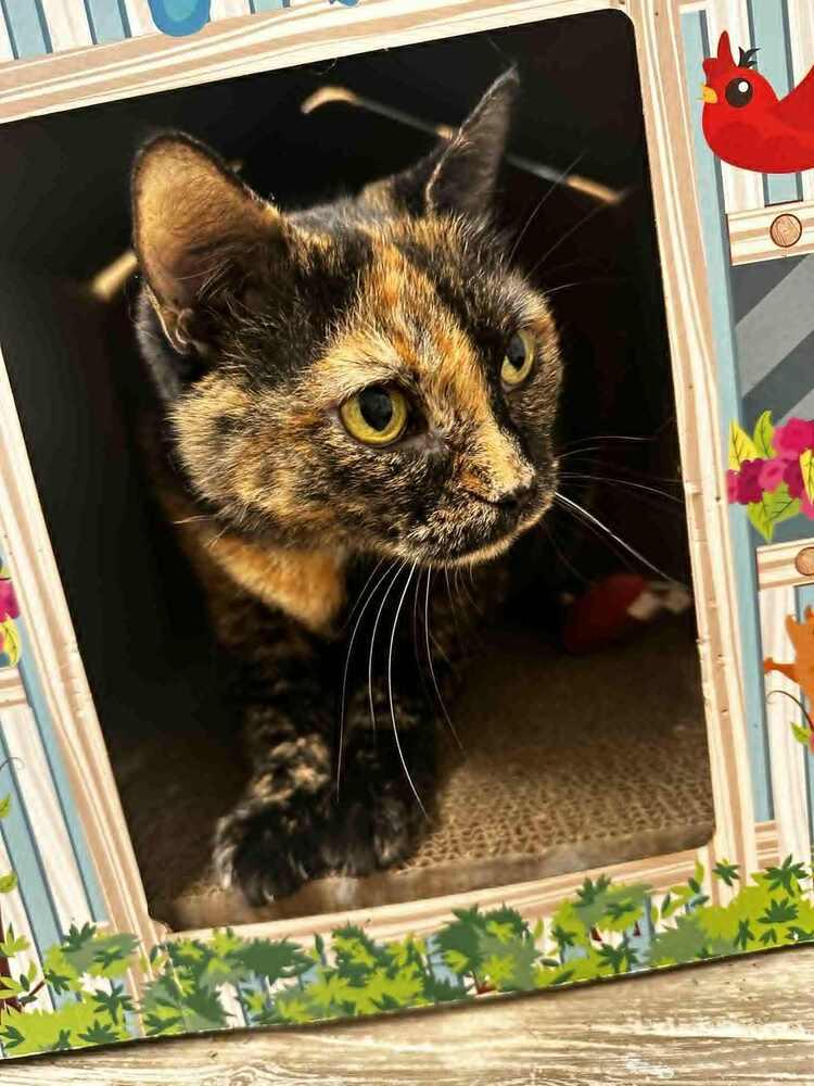 Marge — thumbnail 4