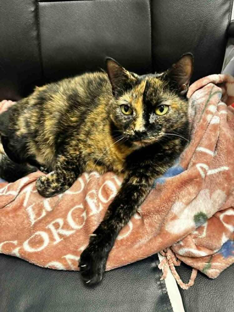 Marge — thumbnail 6