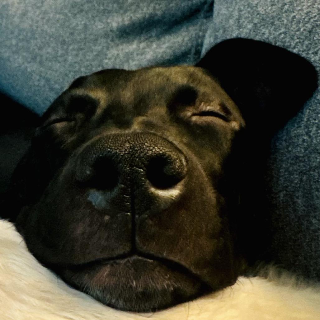 Cello — thumbnail 4