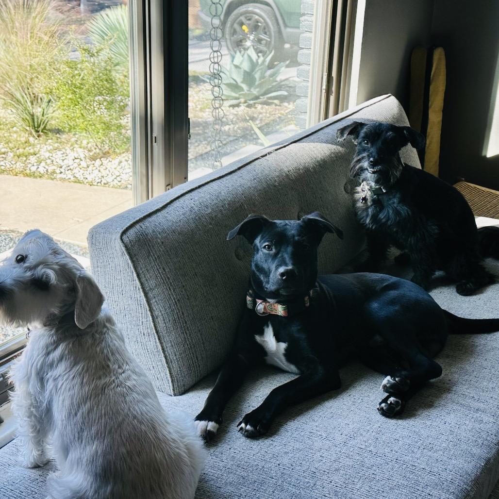 Cello — thumbnail 5