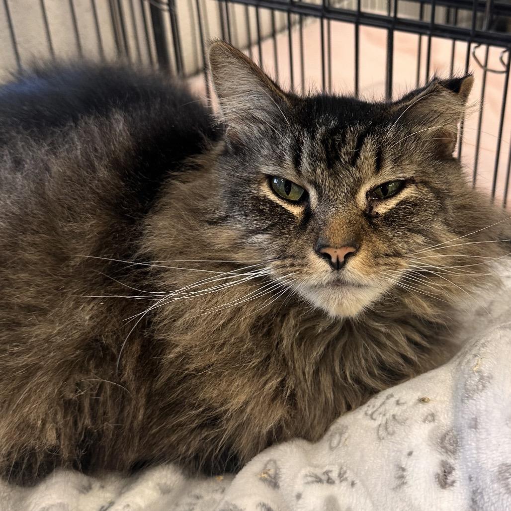 Dean — thumbnail 2