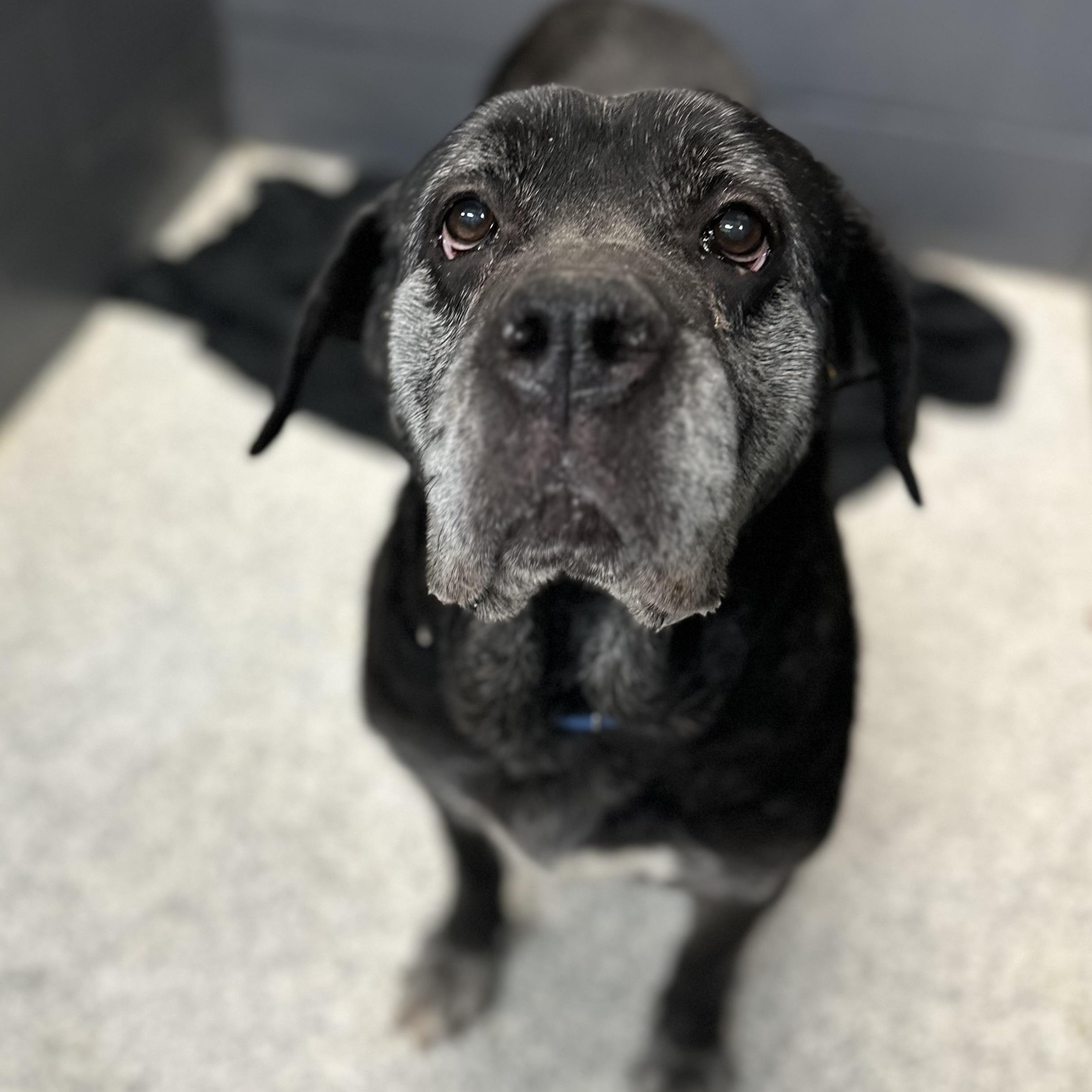 Peppers, Senior Female unknown
