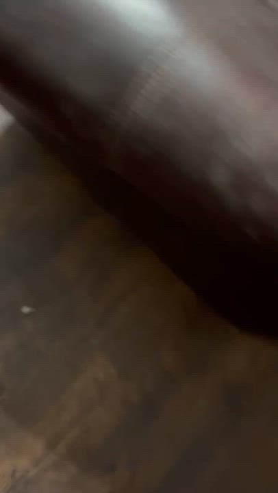 Enlarge Princess, an adopted mixed breed in Elk Grove, CA video 3/3