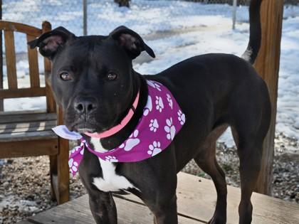 Lady Fka Mika — thumbnail 2