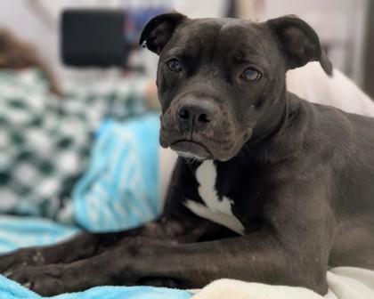 Lady Fka Mika — thumbnail 3