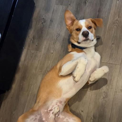 Nonny — thumbnail 6