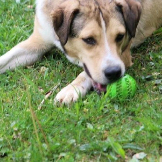 Sandy-Fee partially sponsored 5