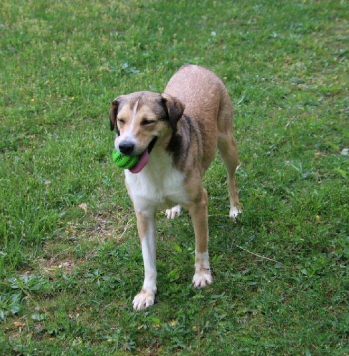 Sandy-Fee partially sponsored 2