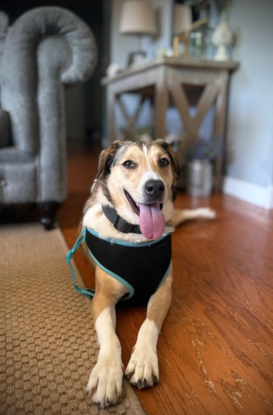 Sandy-Fee partially sponsored