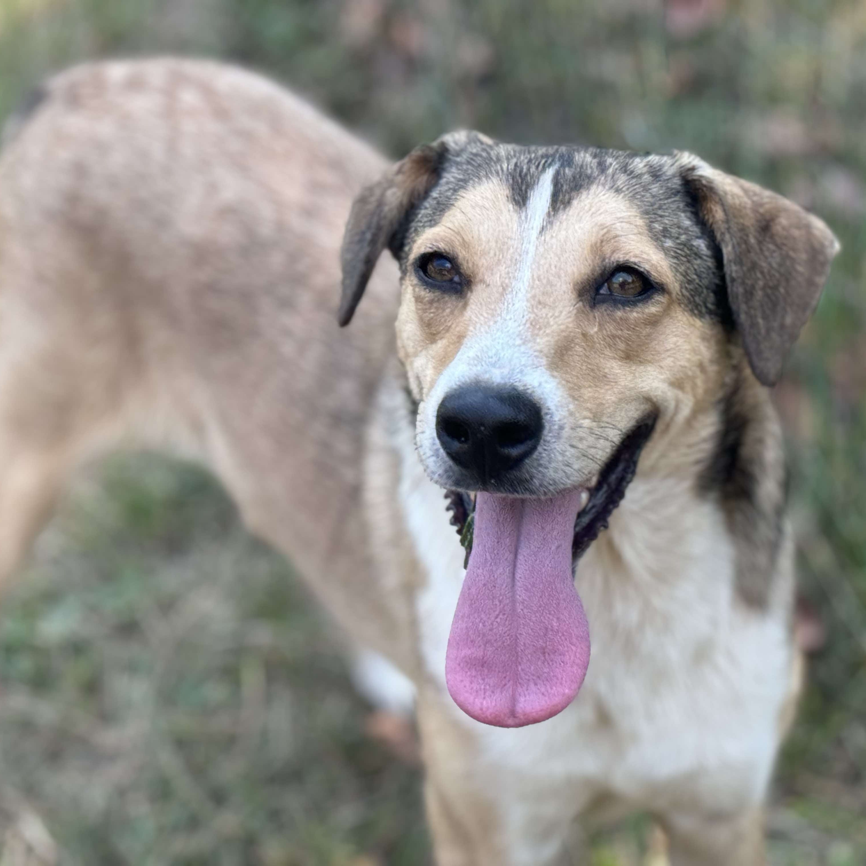 Sandy-Fee partially sponsored 4