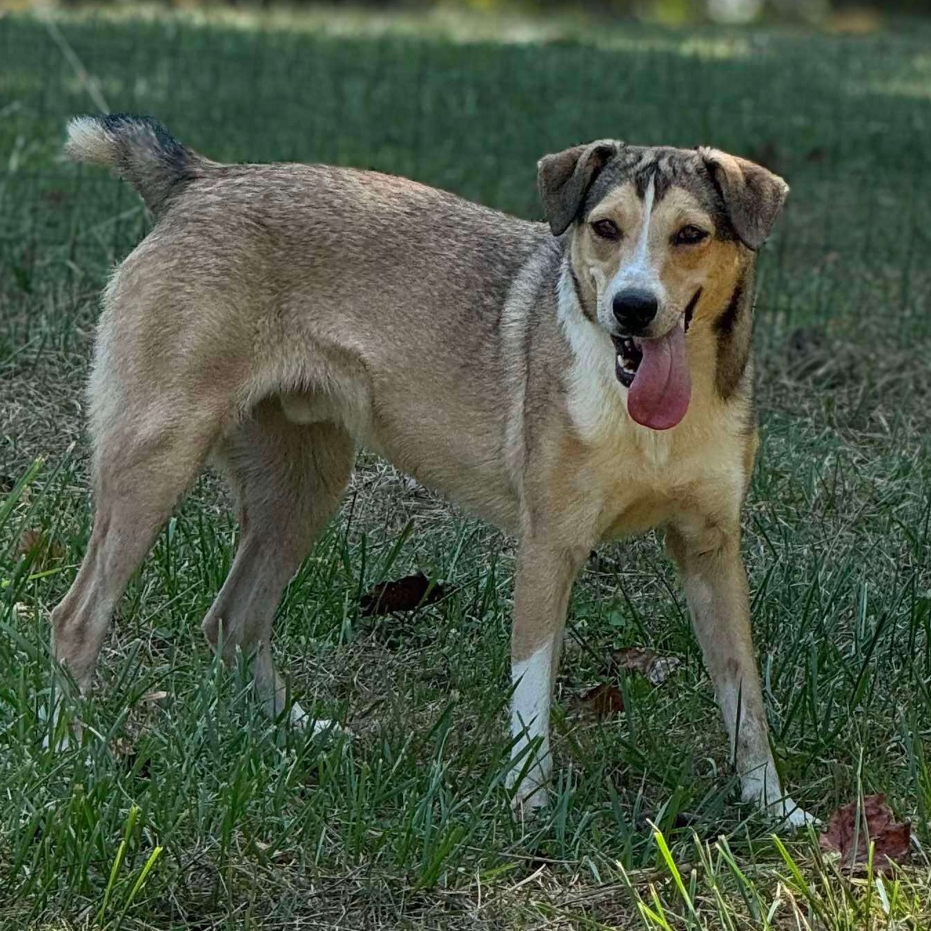 Sandy-Fee partially sponsored 6