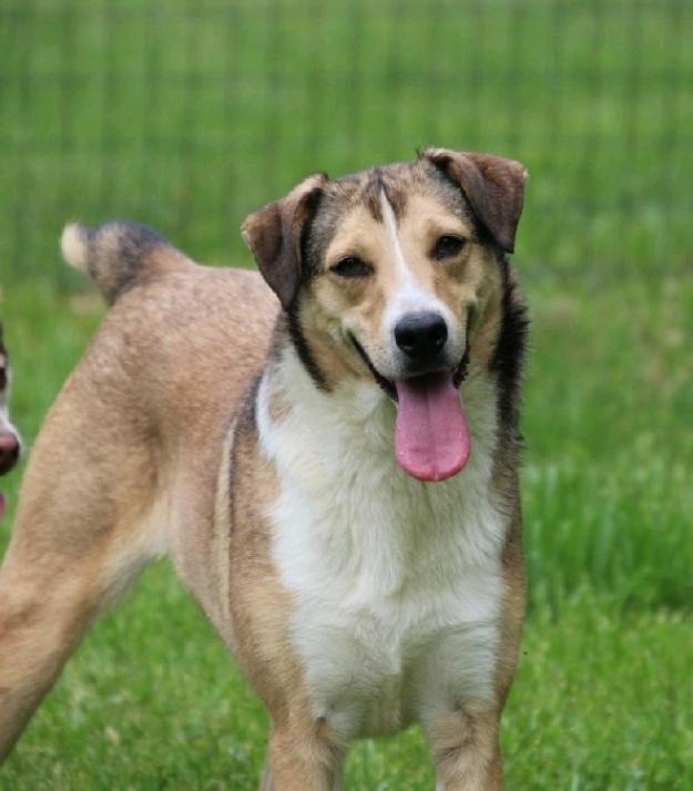 Sandy-Fee partially sponsored 3