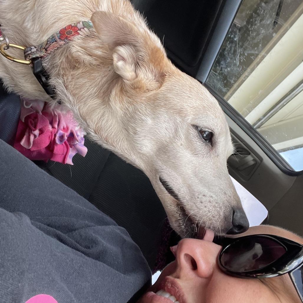 Betsy — thumbnail 4