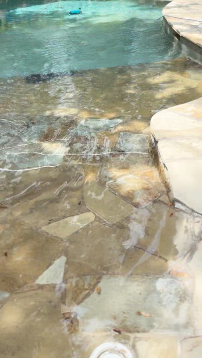 Enlarge Georgia, a hold mixed breed in Houston, TX video 6/6