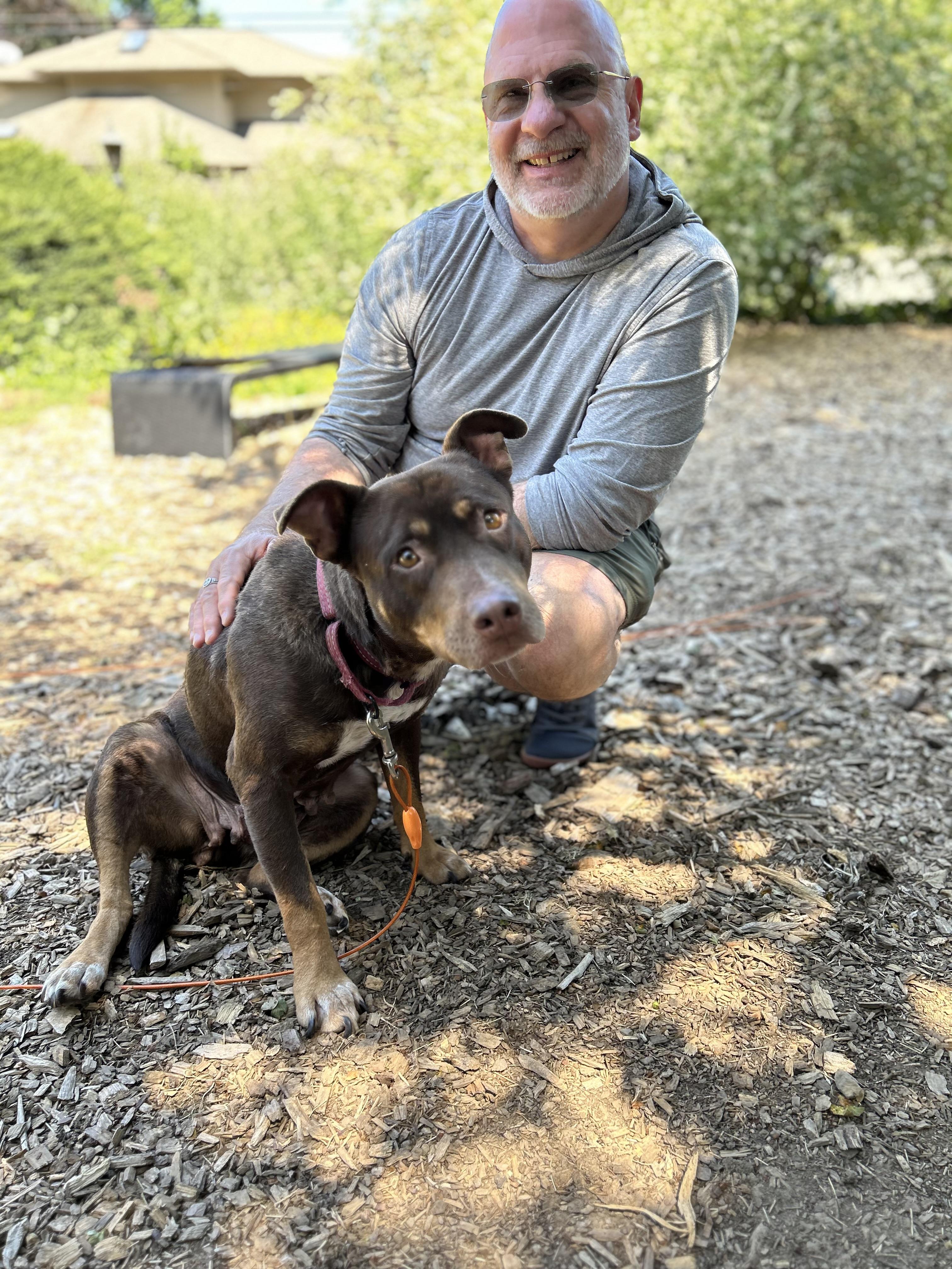 Enlarge Marra, a Adopted mixed breed in Tigard, OR image 2/6