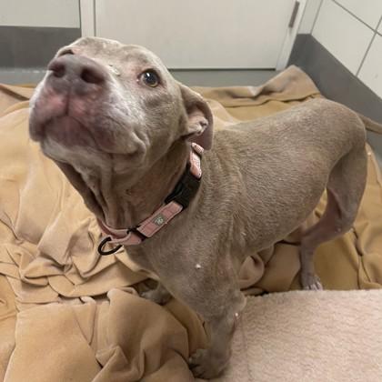 Cherish — thumbnail 2