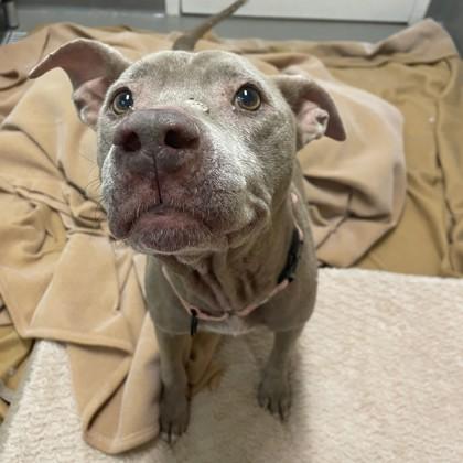 Cherish — thumbnail 3