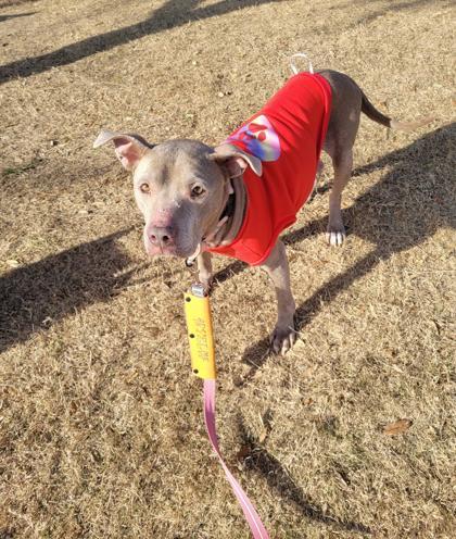 Cherish — thumbnail 4