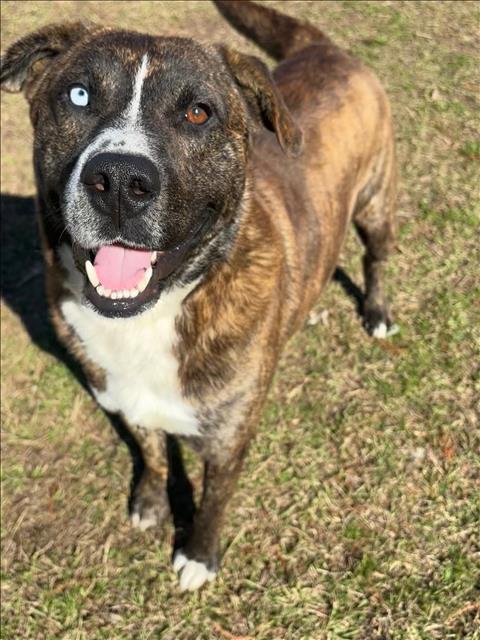 PARKER — thumbnail 2