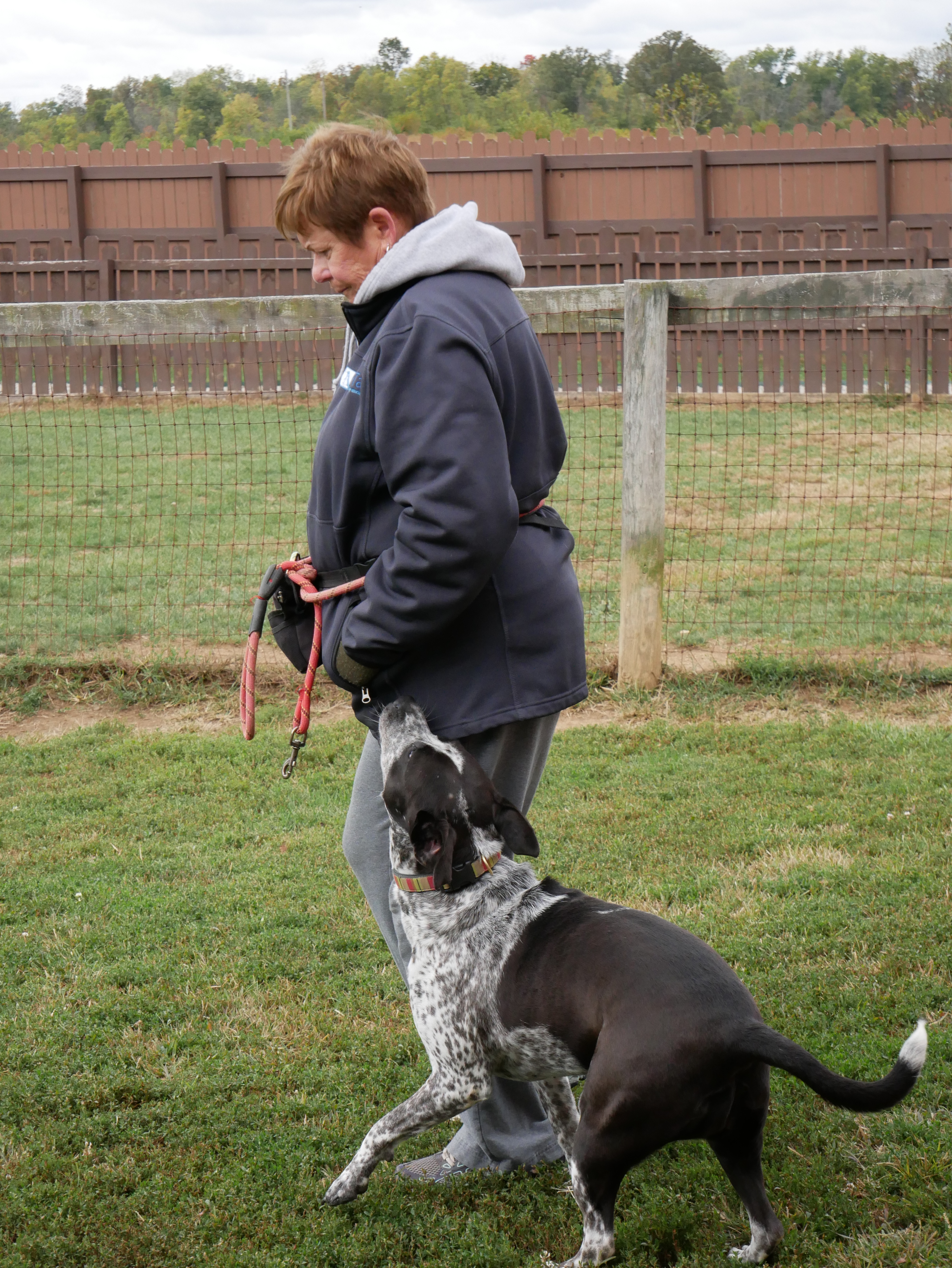 Enlarge Pepper, a Adoptable mixed breed in South Charleston, OH image 4/5