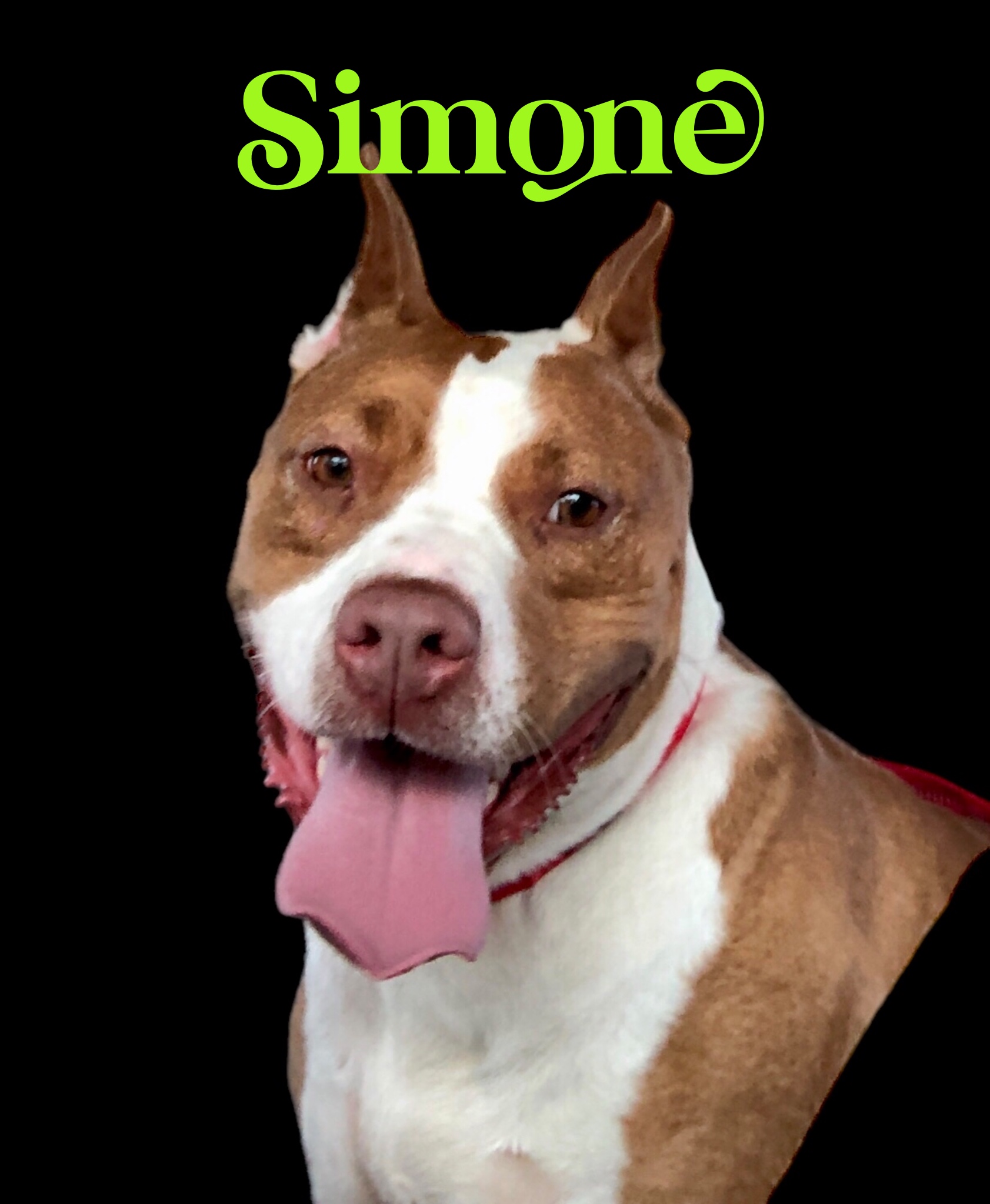 Simone