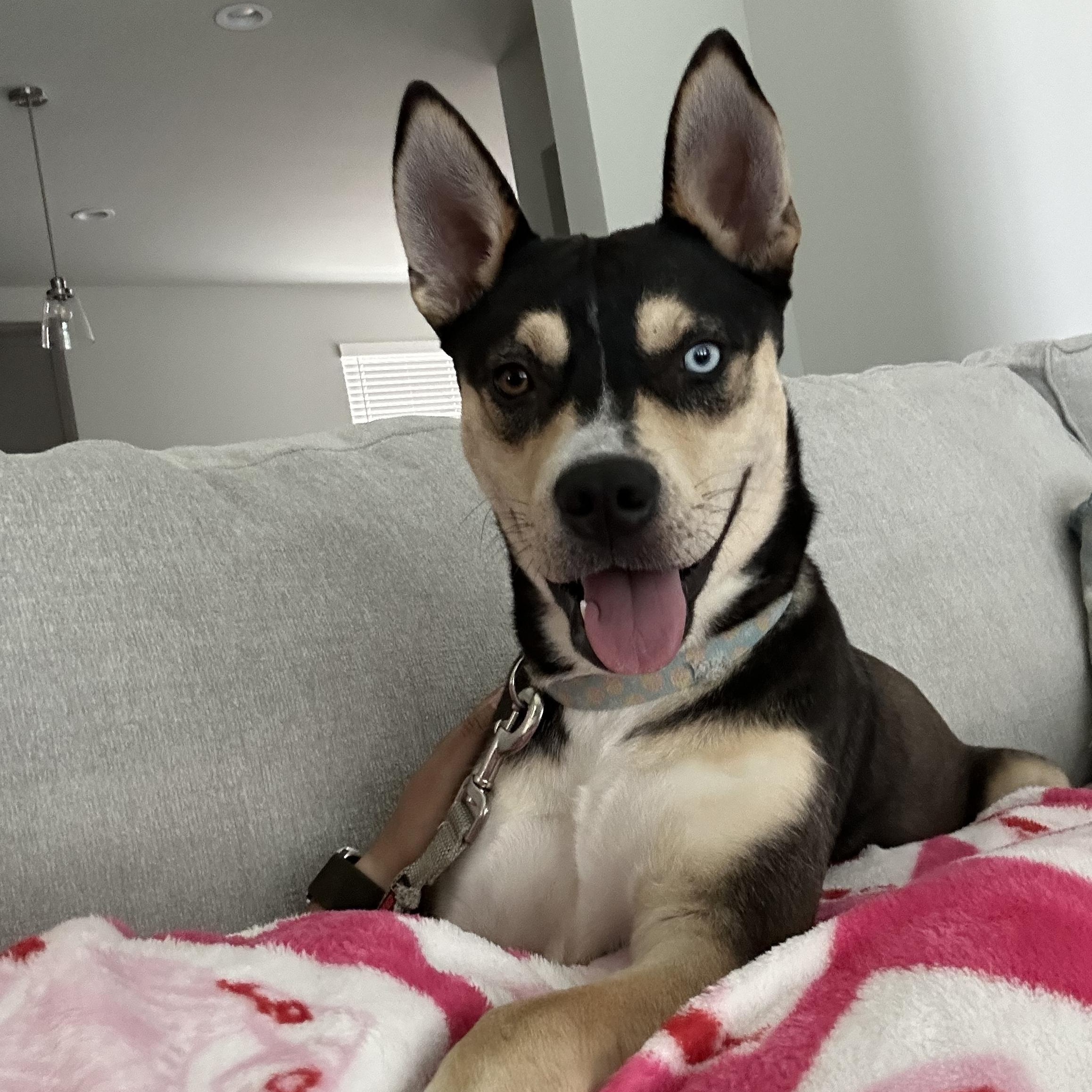 Riley photo