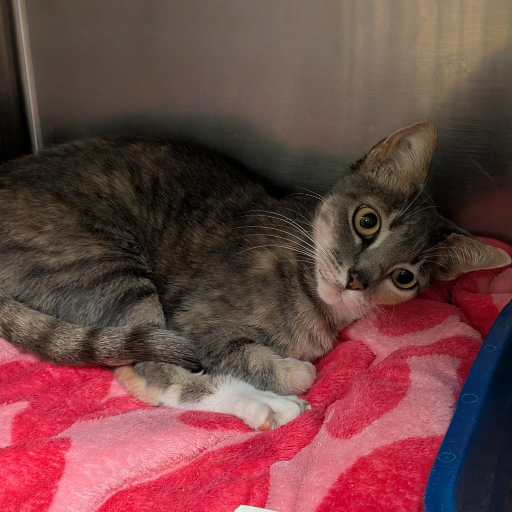 Ruthie — thumbnail 2