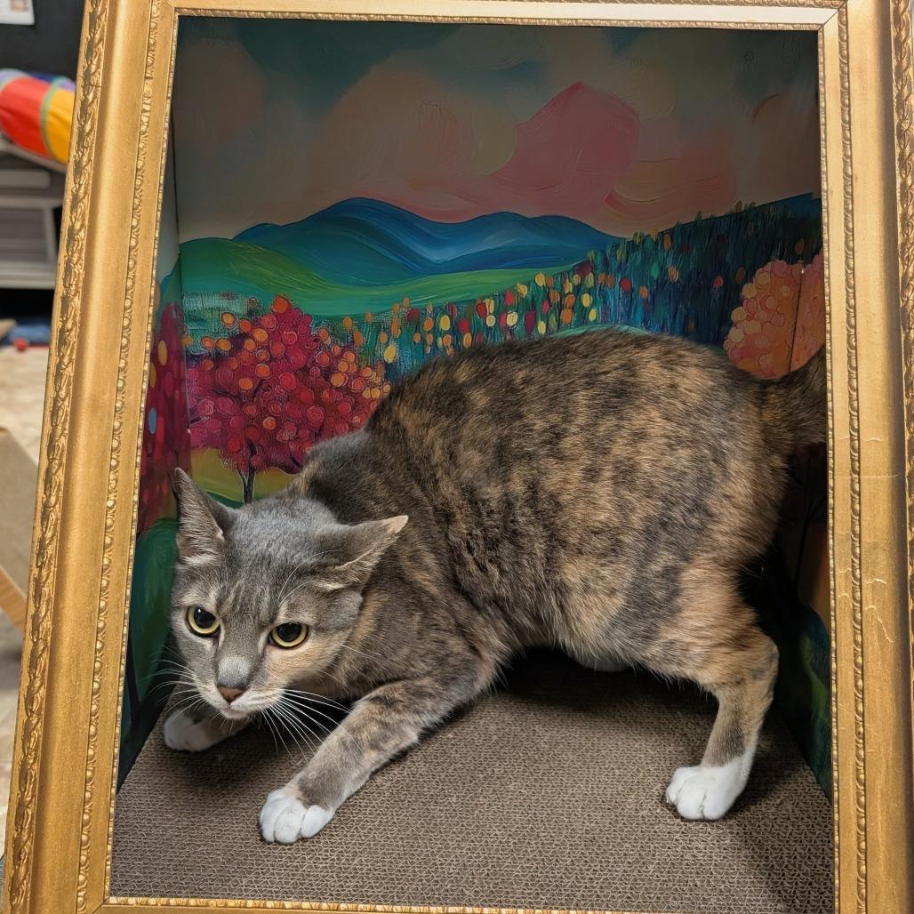 Ruthie — thumbnail 3