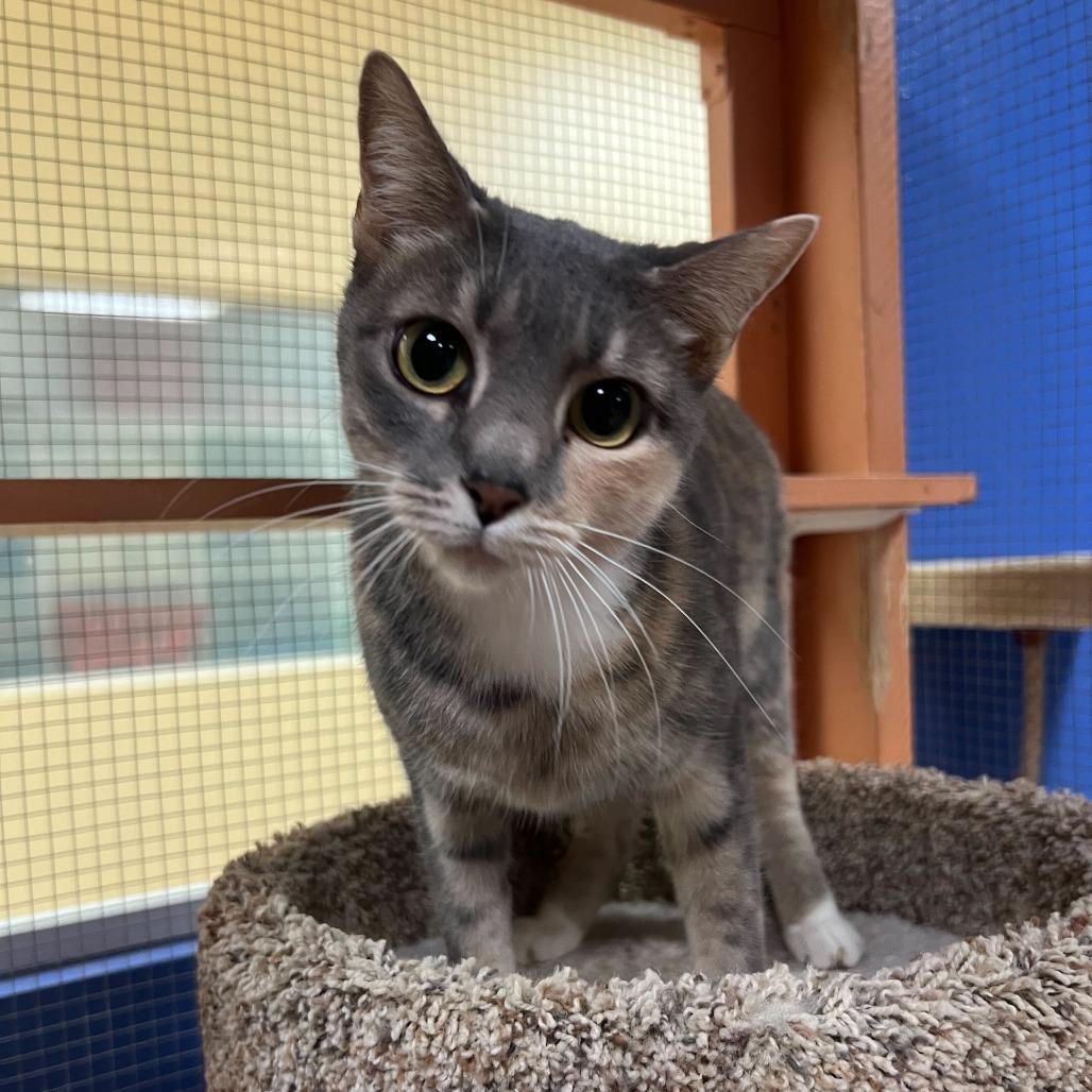 Ruthie — thumbnail 4