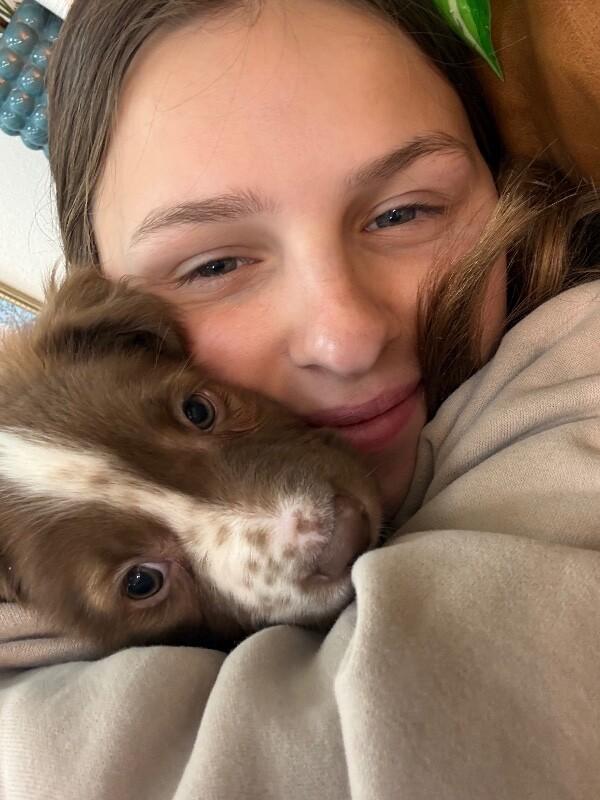 Dunkin' Sweets — thumbnail 2