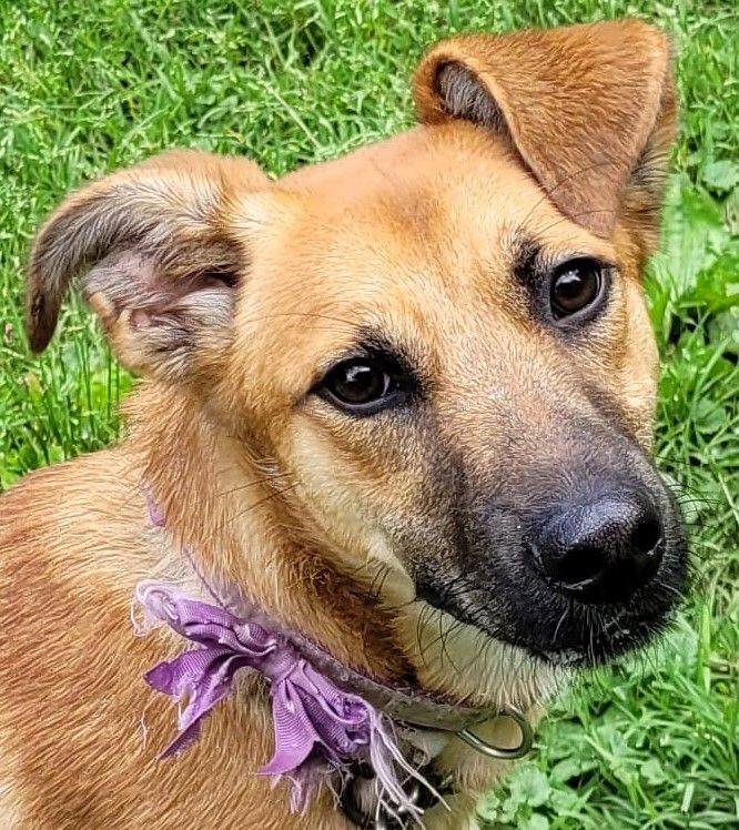 Jeniviev — thumbnail 2