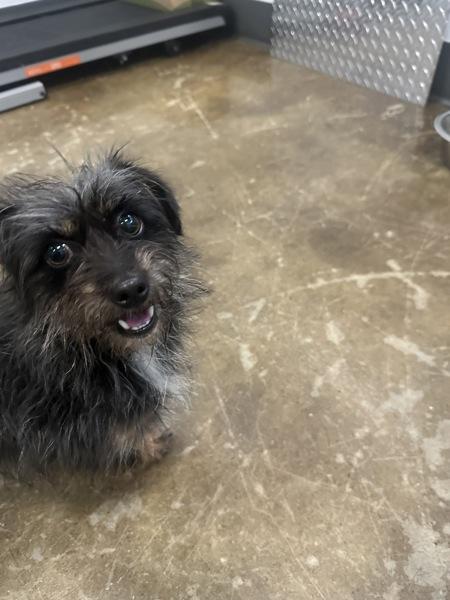 Dory — thumbnail 2