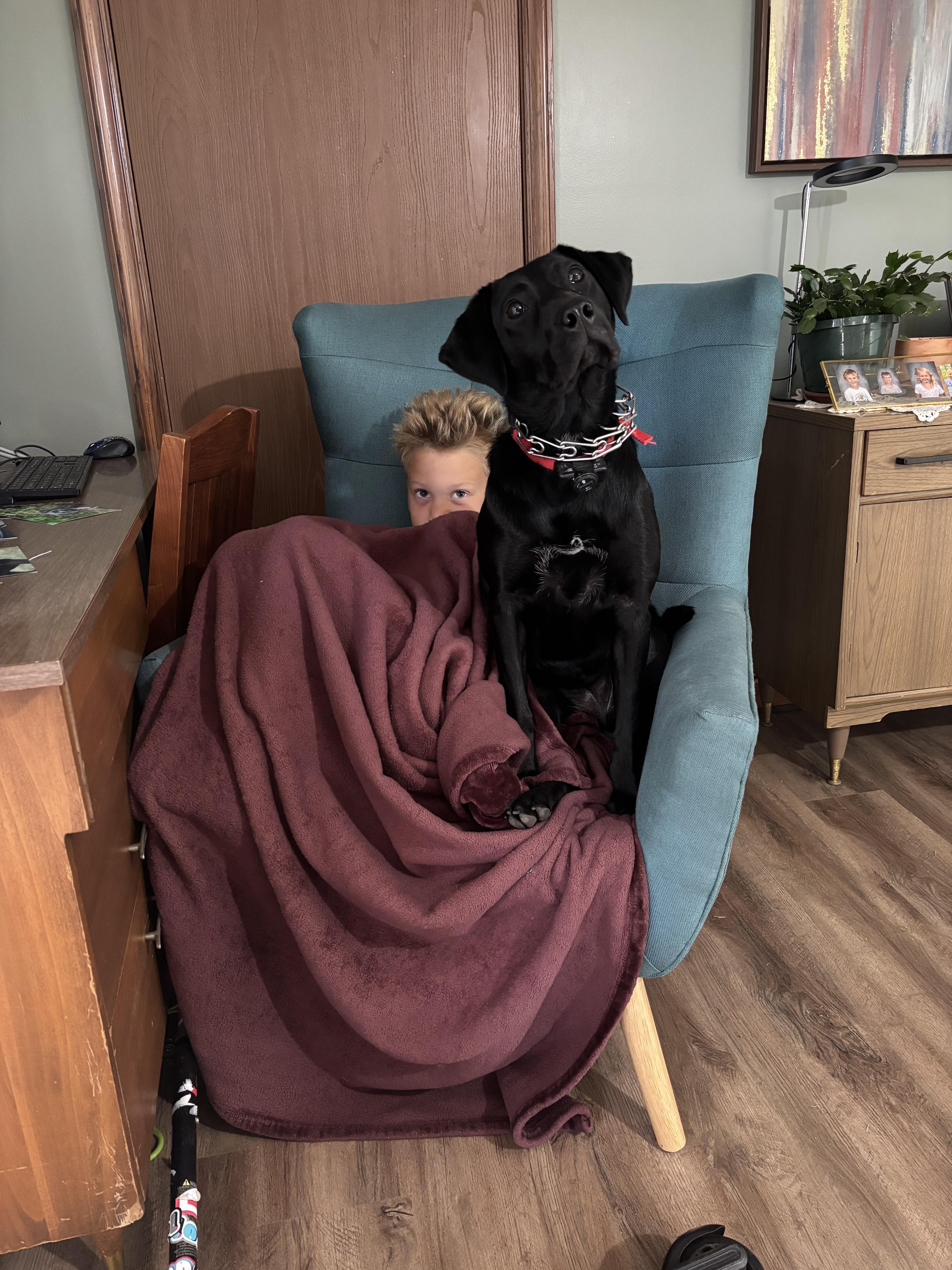 Enlarge Holly, an adoptable Black Labrador Retriever in Paoli, IN image 3/6