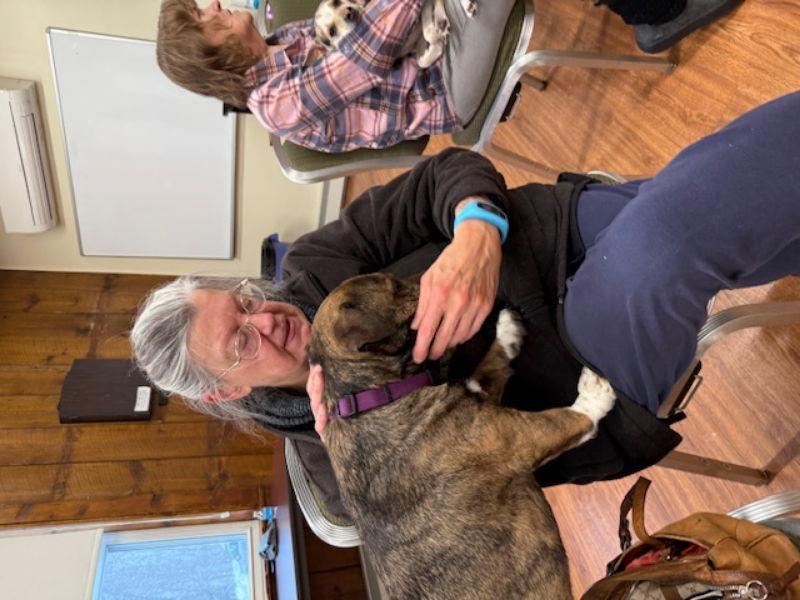 Ralphy, a Adoptable mixed breed in East Derry, NH image 3/3