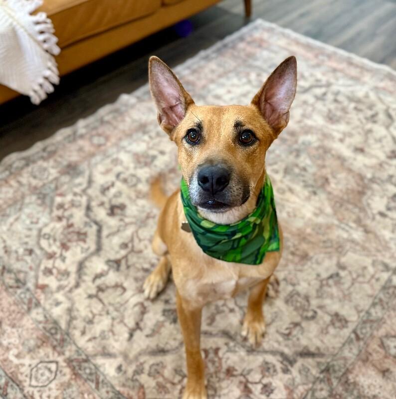 Walter Fitzgerald — thumbnail 2