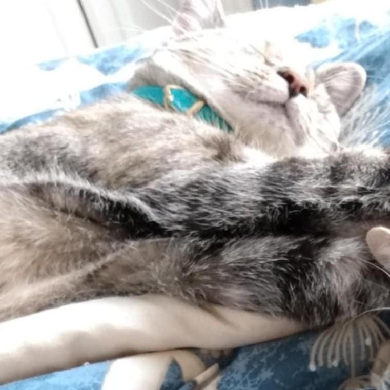 Santa Anita thumbnail 4