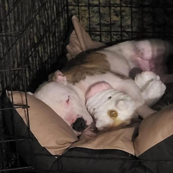 Chloe — thumbnail 2